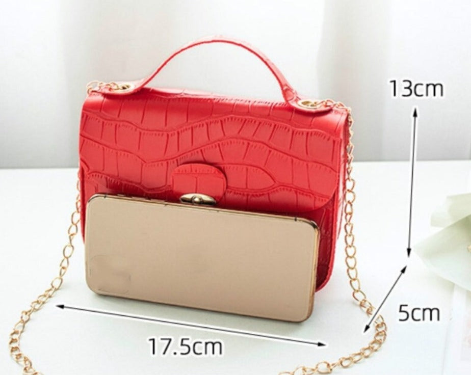 Chic Bag